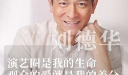 娱乐圈是我的,我的传奇征程